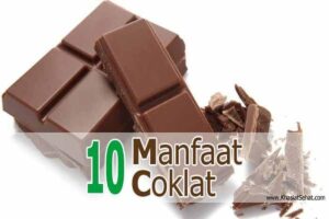 manfaat coklat