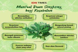 manfaat daun singkong
