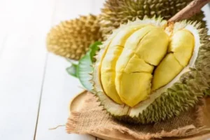 manfaat durian