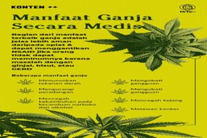 manfaat ganja