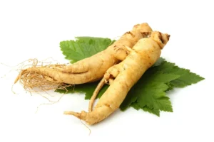 manfaat ginseng