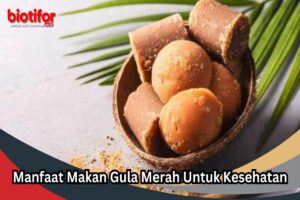 manfaat gula merah