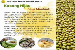 manfaat kacang hijau