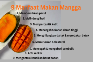 manfaat mangga