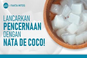 manfaat nata de coco