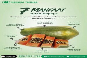 manfaat pepaya
