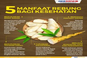 manfaat rebung