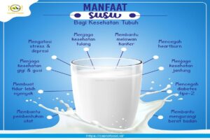 manfaat susu