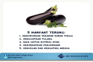manfaat terong