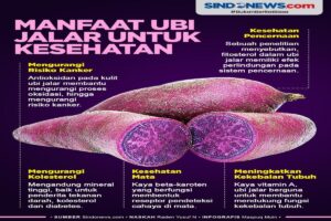 manfaat ubi jalar