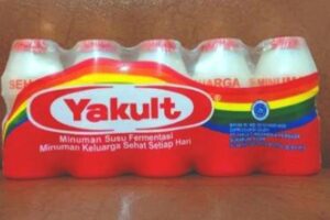 manfaat yakult bagi kesehatan