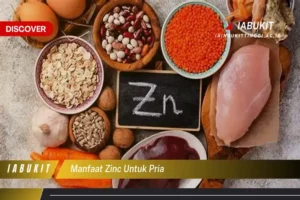 manfaat zinc untuk pria