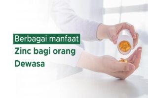 manfaat zinc untuk tubuh